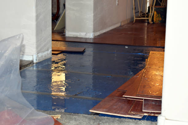 Professional Burst Pipe Cleanup technician working in Highland Park, MI