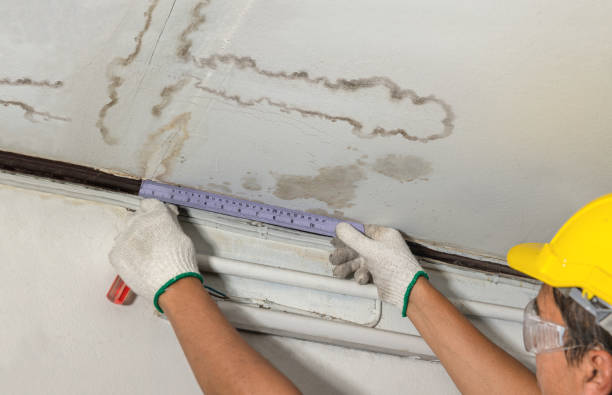 Reliable Burst Pipe Cleanup contractor in Highland Park, MI by Local Water Damage Repair